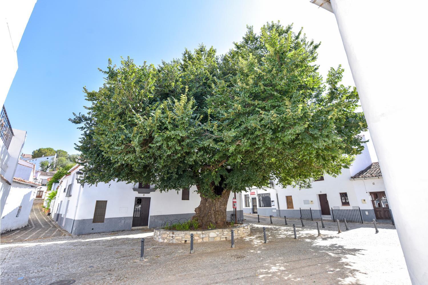 Pensjonat El Rincon De Marcelino Cortelazor Zewnętrze zdjęcie